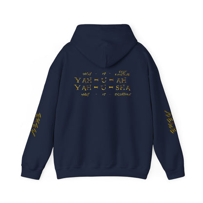 Truth Illustrated 02 Designer Gildan Unisex Heavy Blend Hoodie (4 colors)