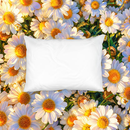 Solid white back of The Dawning Field standard cotton pillow sham centered over a sunlit daisy floral pattern.