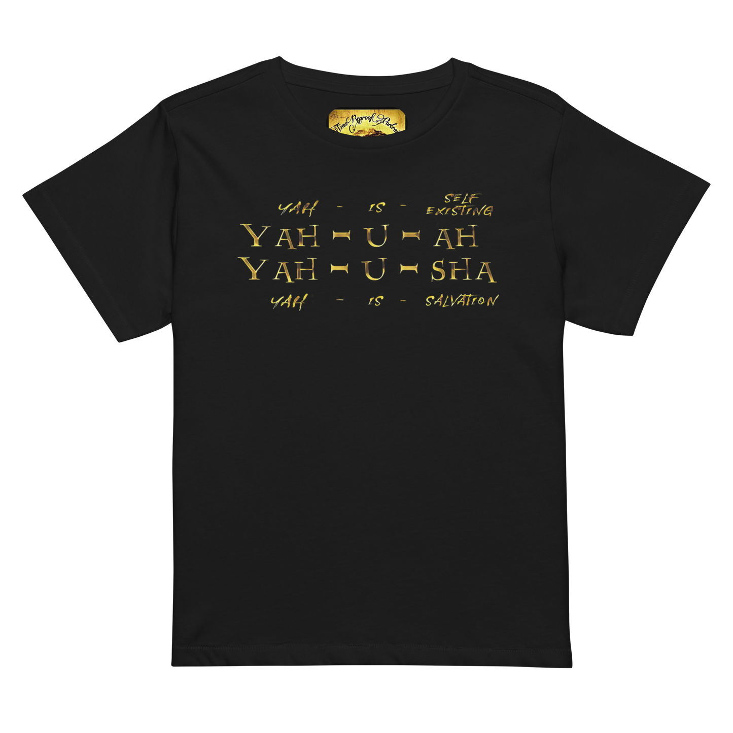 Truth Illustrated 02 Designer Cotton Heritage Ladies Slim Fit T-shirt