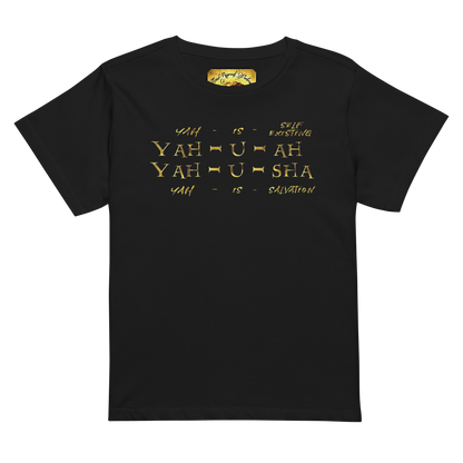 Truth Illustrated 02 Designer Cotton Heritage Ladies Slim Fit T-shirt